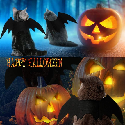 Fledermauskostüm für Katzen – perfekt für Halloweenpartys