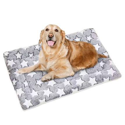 Hundebox Bett Matratze