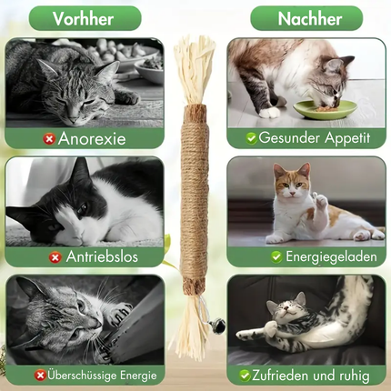 4 Stück Matatabi-Sticks mit Fransen