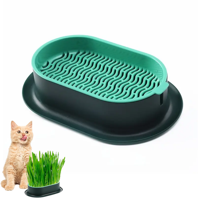 Pflanzschalen für Katzengras