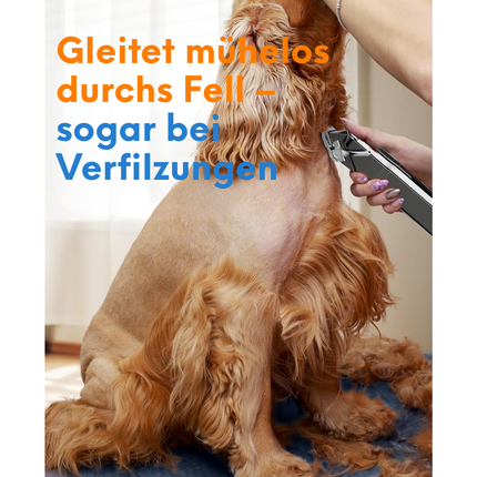 Leise Hundeschermaschine dichtes fell