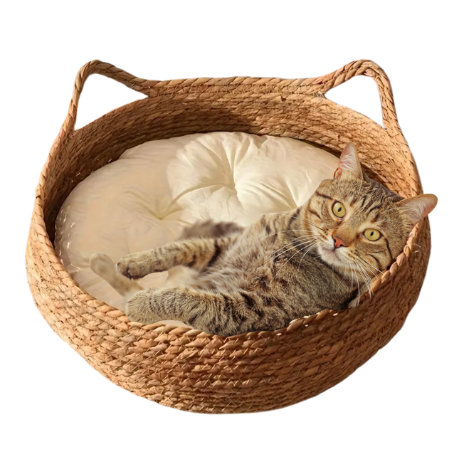 Natürliche Katzenbett