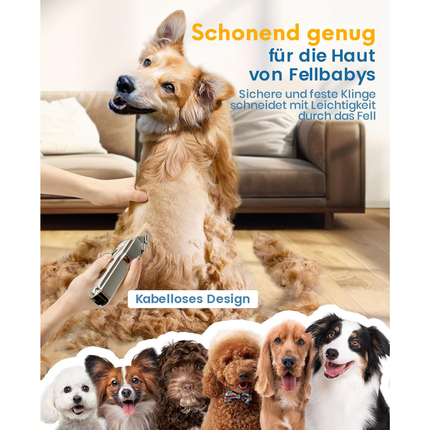 Leise Hundeschermaschine dichtes fell