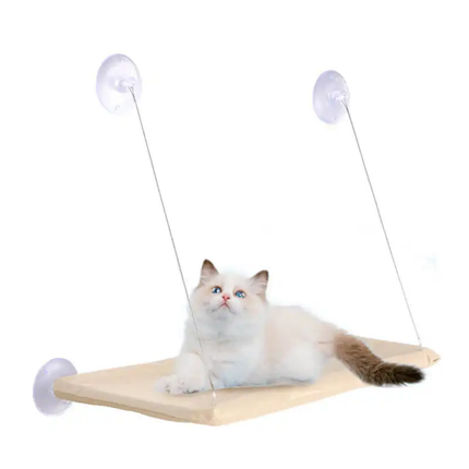 Katzen Fensterliege