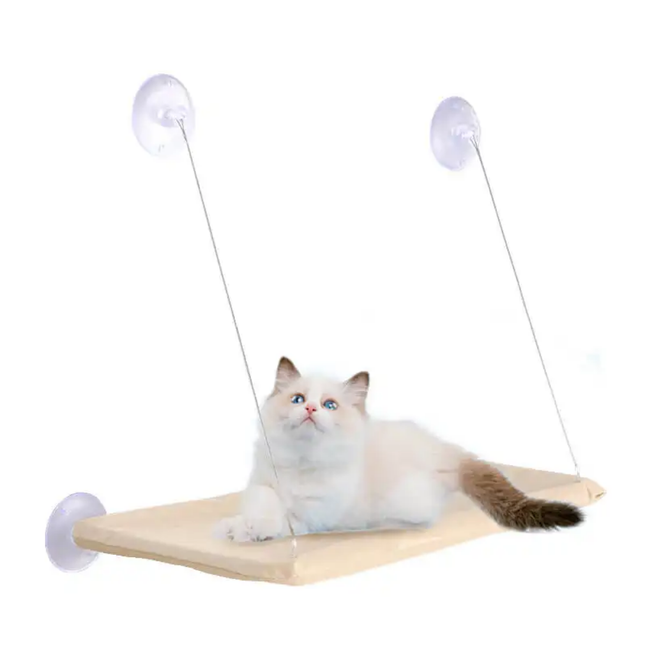 Katzen Fensterliege