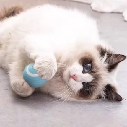 SUBA Katzenspielzeug Elektrisch Katzenball mit LED Licht, Automatischer 360 Grad Rollbal Interaktives Katzenspielzeug mit USB Wiederaufladbarer, interaktiver katzenball für Katzen (Blau)