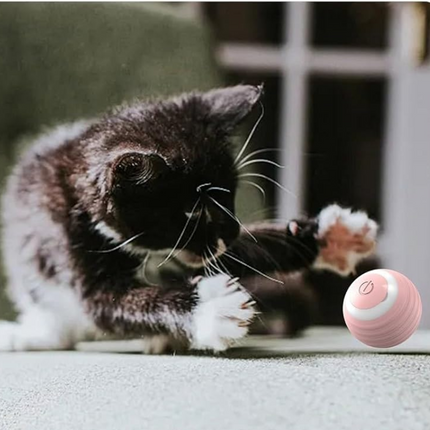 SUBA Katzenspielzeug Elektrisch Katzenball mit LED Licht, Automatischer 360 Grad Rollbal Interaktives Katzenspielzeug mit USB Wiederaufladbarer, interaktiver katzenball für Katzen (Rosa)