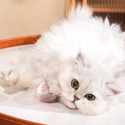SUBA Katzenspielzeug Elektrisch Katzenball mit LED Licht, Automatischer 360 Grad Rollbal Interaktives Katzenspielzeug mit USB Wiederaufladbarer, interaktiver katzenball für Katzen (Rosa)