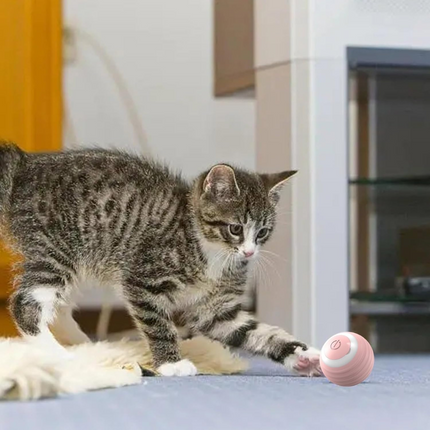 SUBA Katzenspielzeug Elektrisch Katzenball mit LED Licht, Automatischer 360 Grad Rollbal Interaktives Katzenspielzeug mit USB Wiederaufladbarer, interaktiver katzenball für Katzen (Rosa)