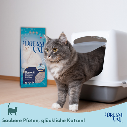 (4 x 5L) Dream Cat Katzenstreu mit Lavandelduft- Feine Klumpstreu aus Bentonit, 20L