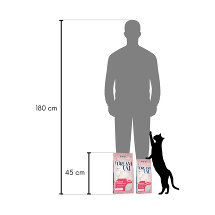 (4 x 5L) Dream Cat Katzenstreu mit Babypuder Duft- Feine Klumpstreu aus Bentonit, 20L