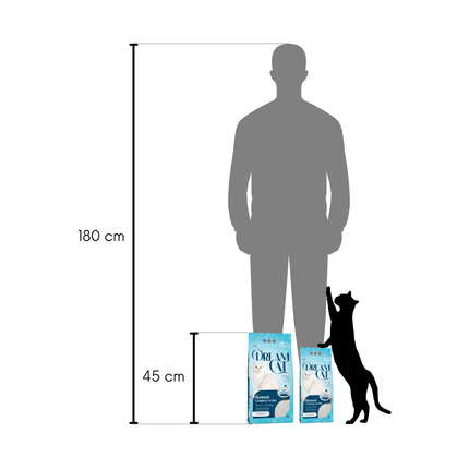 (4 x 5L) Dream Cat Classic Katzenstreu- Feine Klumpstreu aus Bentonit, 20L