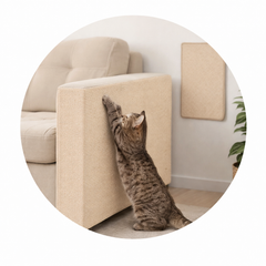 Collection image for: Katzenmöbel & Kratzbäume