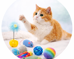 Collection image for: Katzenspielzeug