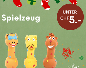 Spielzeug unter CHF 5