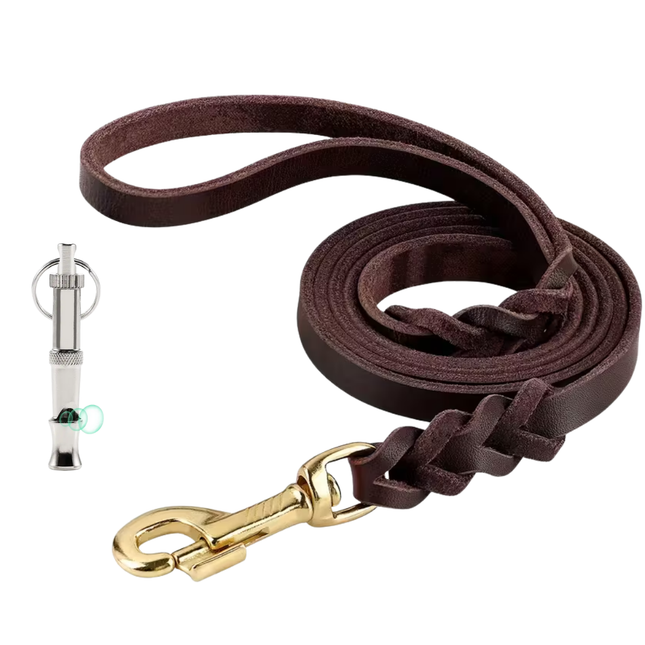 Leder Hundeleine