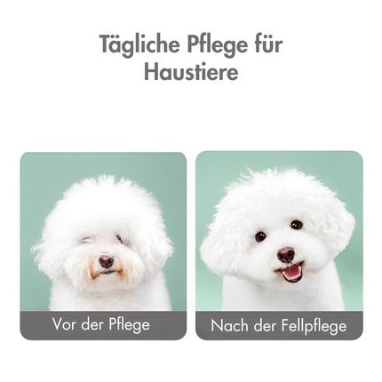 Flohkamm