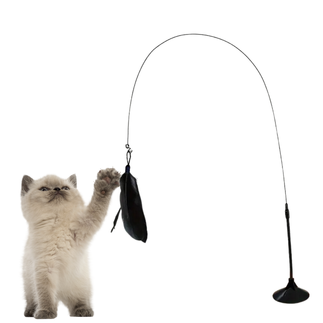 Katzenangel Stabil mit Federn