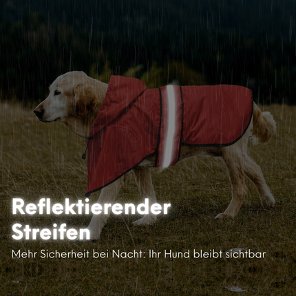 Regenmantel, XS