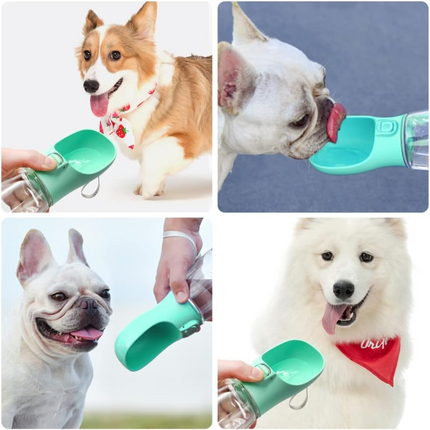 Hundetrinkflasche, 550 ml