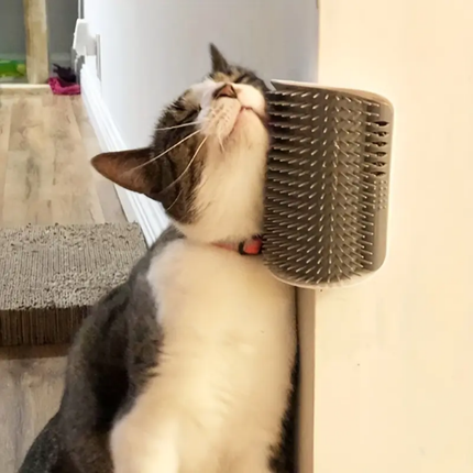 Katzenbürste Wand Ecke