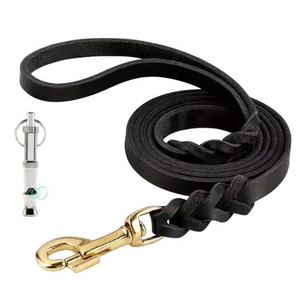 Leder Hundeleine