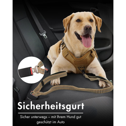 Hundeleine mit Sicherheitsgurt, Red