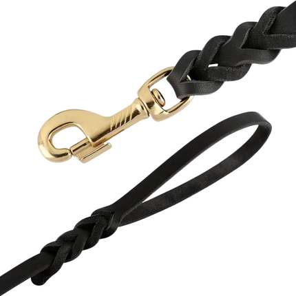 Leder Hundeleine