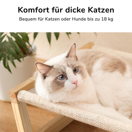 Katzenbett und Hundebett Erhöht