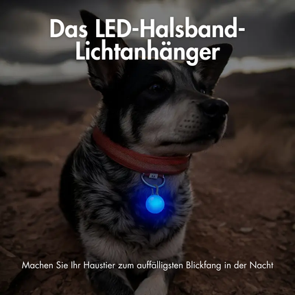 Hunde Sicherheits Blinklicht Clip-On LED