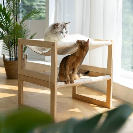 Katzenbett und Hundebett Erhöht