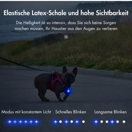 Hunde Sicherheits Blinklicht Clip-On LED