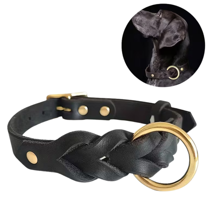 Leder Hundehalsband