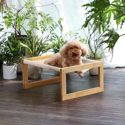 Katzenbett und Hundebett Erhöht