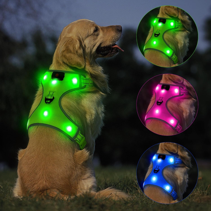 LED-Hundegeschirr
