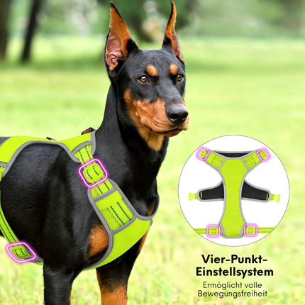 LED-Hundegeschirr