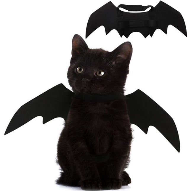 Fledermauskostüm für Katzen – perfekt für Halloweenpartys