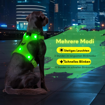 LED-Hundegeschirr