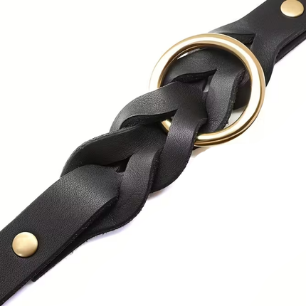 Leder Hundehalsband