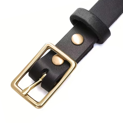 Leder Hundehalsband