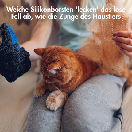 Haustier Fellpflegehandschuh