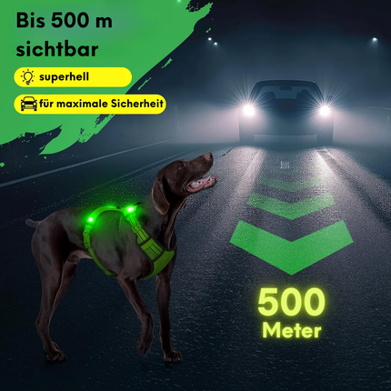 LED-Hundegeschirr
