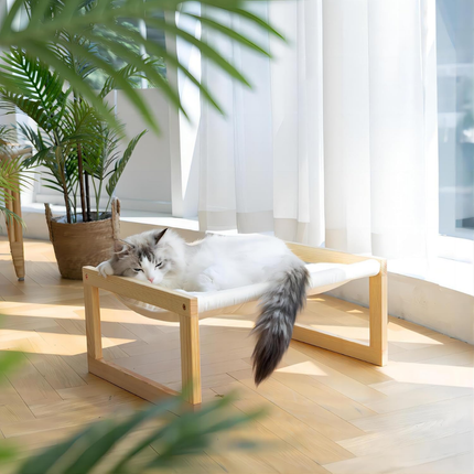 Katzenbett und Hundebett Erhöht
