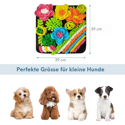 Schnüffelteppich Hund