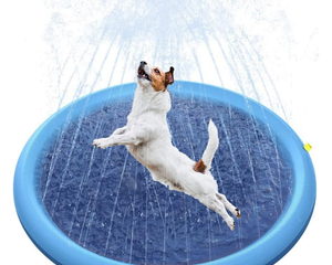 Collection image for: Hundebedarf