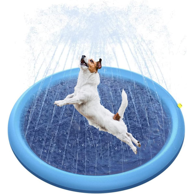 Hundepool Splash Pad