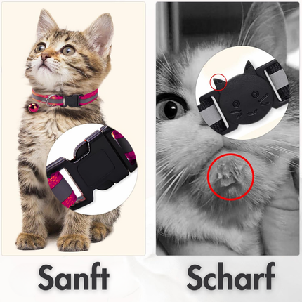 Katzenhalsband, Pink
