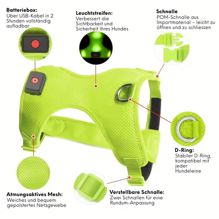 LED-Hundegeschirr
