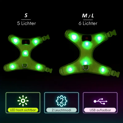 LED-Hundegeschirr