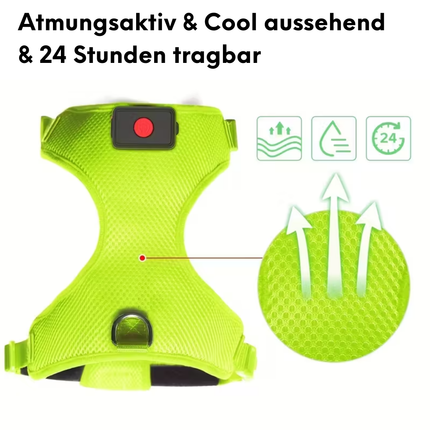LED-Hundegeschirr